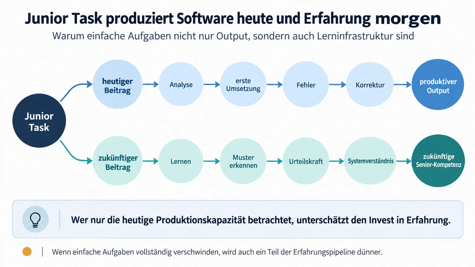 Junior Task: Software heute, Erfahrung morgen